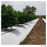 مالچ پلاستیکی درختی و باغبانی