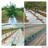 مالچ پلاستیکی درختی و باغبانی