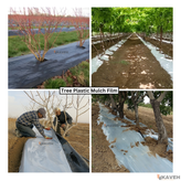 مالچ پلاستیکی درختی و باغبانی