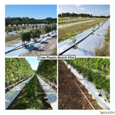 مالچ پلاستیکی درختی و باغبانی