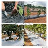 مالچ پلاستیکی درختی و باغبانی