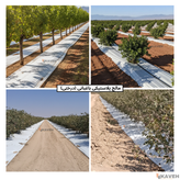 مالچ پلاستیکی درختی و باغبانی