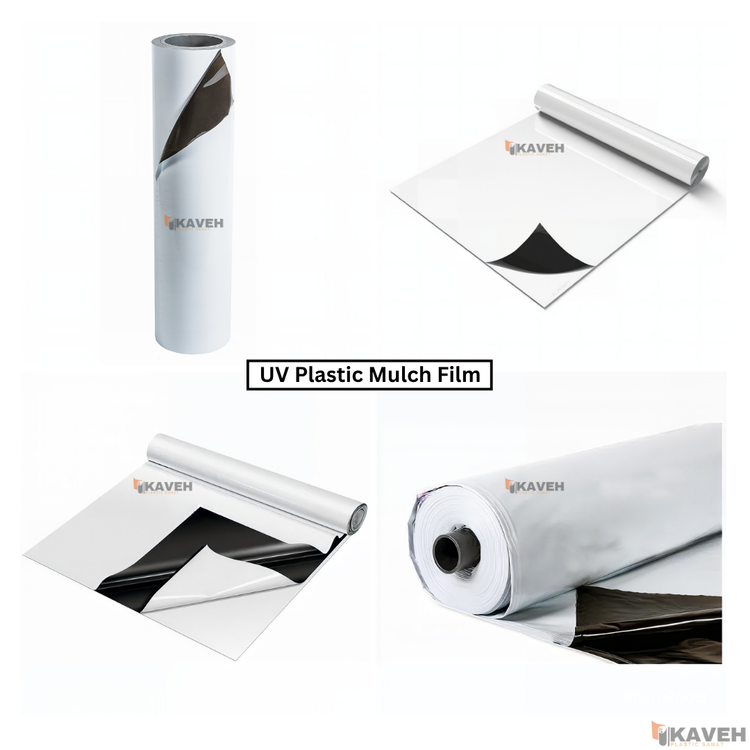 نایلون مالچ کشاورزی دو رنگ با خاصیت UV