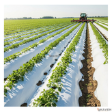 نایلون مالچ کشاورزی دو رنگ با خاصیت UV