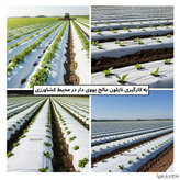 نایلون مالچ کشاورزی دو رنگ با خاصیت UV