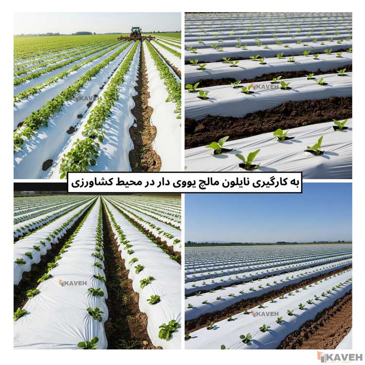 نایلون مالچ کشاورزی دو رنگ با خاصیت UV