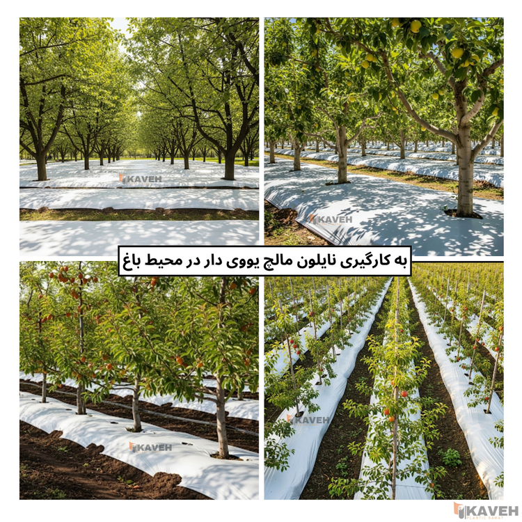 نایلون مالچ کشاورزی دو رنگ با خاصیت UV