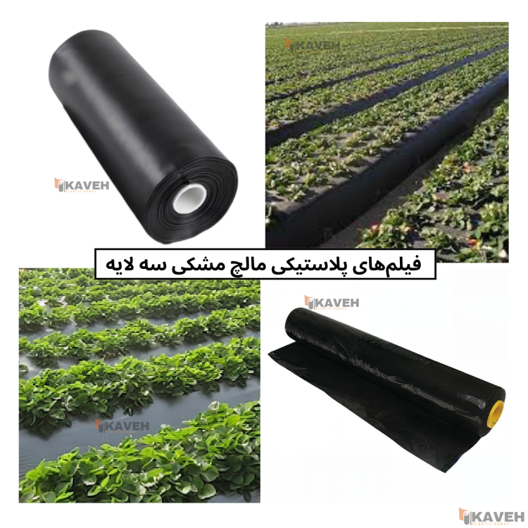مالچ پلاستیکی مشکی سه لایه