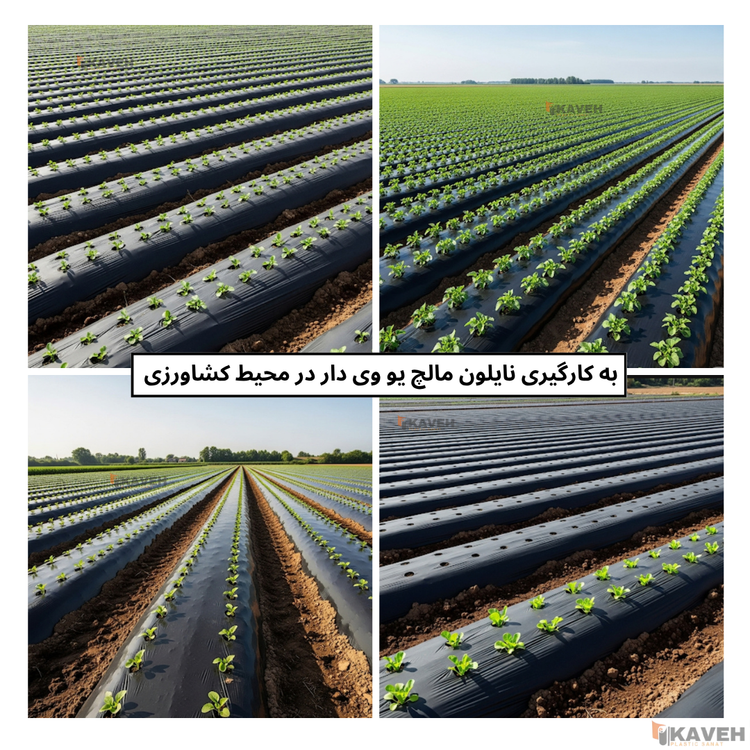 مالچ پلاستیکی مشکی سه لایه