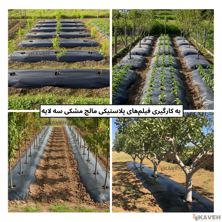 مالچ پلاستیکی مشکی سه لایه