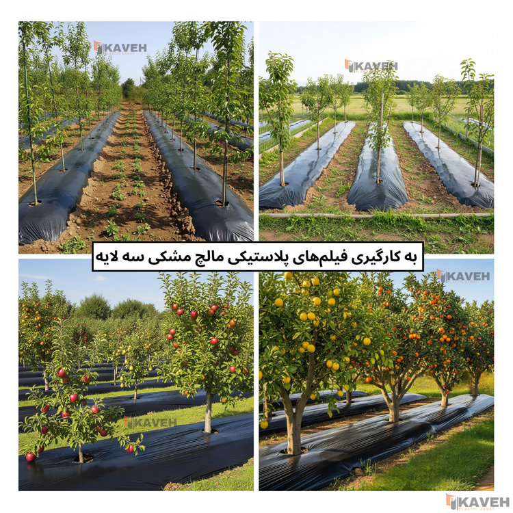 مالچ پلاستیکی مشکی سه لایه