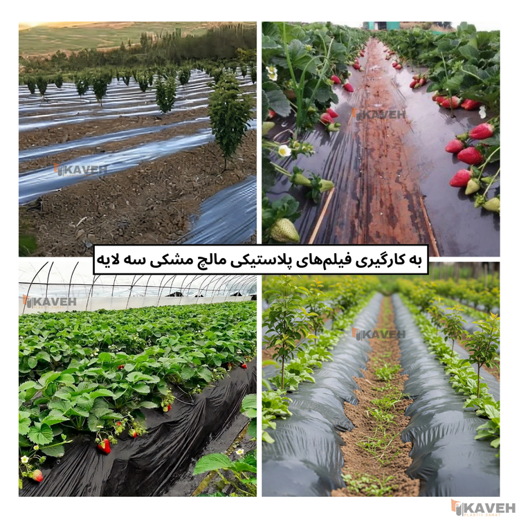 مالچ پلاستیکی مشکی سه لایه