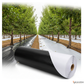 مالچ پلاستیکی باغبانی عرض ۱۰۰ سانتیمتر و ضخامت ۱۰۰ میکرون با ۳ درصد یو وی