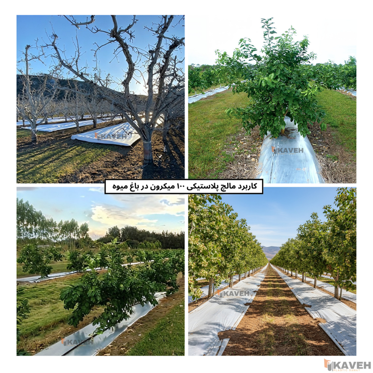 مالچ پلاستیکی باغبانی عرض ۱۰۰ سانتیمتر و ضخامت ۱۰۰ میکرون با ۳ درصد یو وی