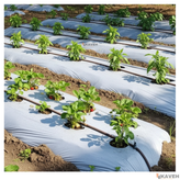 مالچ پلاستیکی کشاورزی ضخامت ۲۰ میکرون و عرض ۱۱۰ سانتیمتر