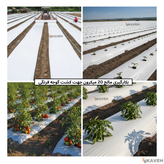 مالچ پلاستیکی کشاورزی ضخامت ۲۰ میکرون و عرض ۱۱۰ سانتیمتر