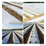 مالچ پلاستیکی کشاورزی ضخامت ۲۰ میکرون و عرض ۱۱۰ سانتیمتر