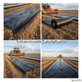 مالچ پلاستیکی کشاورزی ضخامت ۲۰ میکرون و عرض ۱۱۰ سانتیمتر