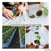 مالچ پلاستیکی کشاورزی ضخامت ۲۰ میکرون و عرض ۱۱۰ سانتیمتر