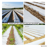 مالچ پلاستیکی کشاورزی بدون یو وی با ضخامت ۳۰ میکرون و عرض ۱۱۰ سانتیمتر