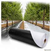 مالچ پلاستیکی باغبانی عرض ۱۲۰ سانتیمتر و ضخامت ۱۰۰ میکرون با یک درصد یووی