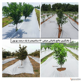 مالچ پلاستیکی باغبانی عرض ۱۲۰ سانتیمتر و ضخامت ۱۰۰ میکرون با یک درصد یووی