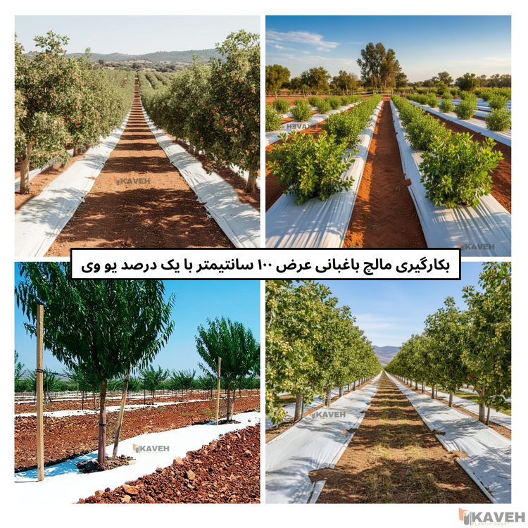 مالچ پلاستیکی باغبانی عرض ۱۰۰ سانتیمتر و ضخامت ۱۰۰ میکرون با یک درصد یووی