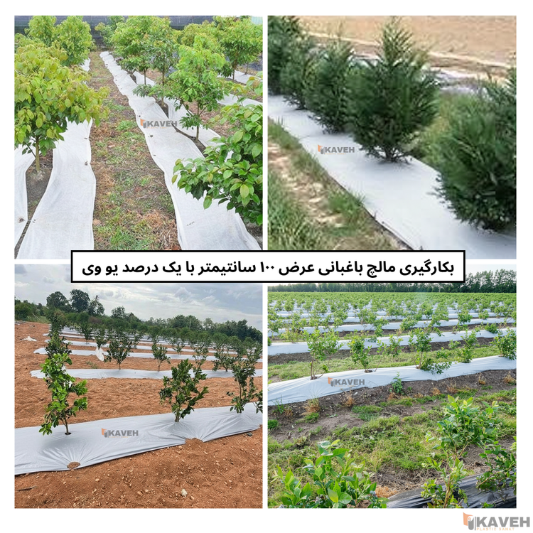 مالچ پلاستیکی باغبانی عرض ۱۰۰ سانتیمتر و ضخامت ۱۰۰ میکرون با یک درصد یووی