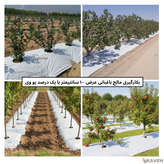 مالچ پلاستیکی باغبانی عرض ۱۰۰ سانتیمتر و ضخامت ۱۰۰ میکرون با یک درصد یووی