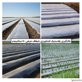 نایلون کشاورزی شفاف با ضخامت ۱۷ تا ۲۰ میکرون و عرض ۱۱۰ سانتیمتر