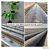 نایلون کشاورزی شفاف با ضخامت ۱۷ تا ۲۰ میکرون و عرض ۱۱۰ سانتیمتر