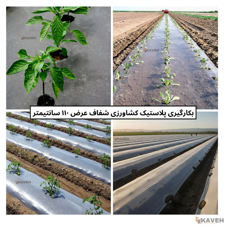 نایلون کشاورزی شفاف با ضخامت ۱۷ تا ۲۰ میکرون و عرض ۱۱۰ سانتیمتر
