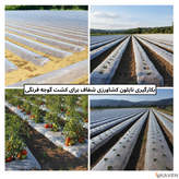 نایلون کشاورزی شفاف با ضخامت ۱۷ تا ۲۰ میکرون و عرض ۱۱۰ سانتیمتر