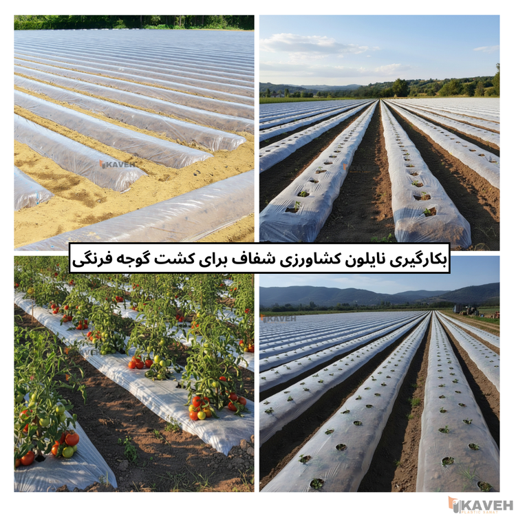 نایلون کشاورزی شفاف با ضخامت ۱۷ تا ۲۰ میکرون و عرض ۱۱۰ سانتیمتر