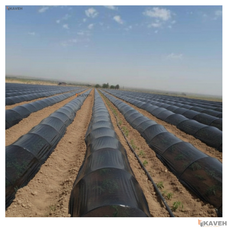 نایلون کشاورزی مشکی با ضخامت ۲۰ میکرون و عرض ۱۱۰ سانتیمتر