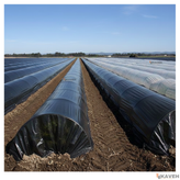 نایلون کشاورزی مشکی با ضخامت ۲۰ میکرون و عرض ۱۱۰ سانتیمتر