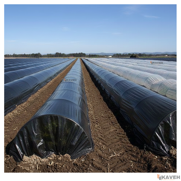 نایلون کشاورزی مشکی با ضخامت ۲۰ میکرون و عرض ۱۱۰ سانتیمتر