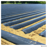 نایلون کشاورزی مشکی با ضخامت ۲۰ میکرون و عرض ۱۱۰ سانتیمتر