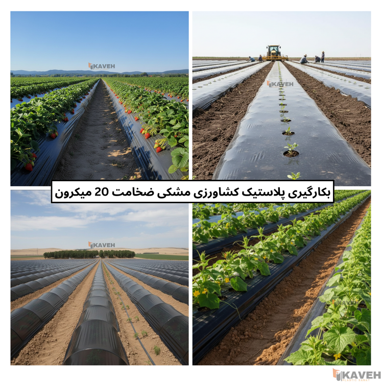 نایلون کشاورزی مشکی با ضخامت ۲۰ میکرون و عرض ۱۱۰ سانتیمتر