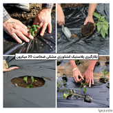 نایلون کشاورزی مشکی با ضخامت ۲۰ میکرون و عرض ۱۱۰ سانتیمتر