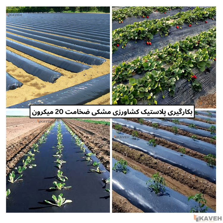 نایلون کشاورزی مشکی با ضخامت ۲۰ میکرون و عرض ۱۱۰ سانتیمتر