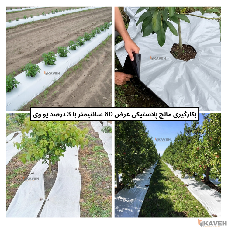مالچ پلاستیکی باغبانی عرض 60 سانتیمتر و ضخامت 100 میکرون با 3 درصد یووی