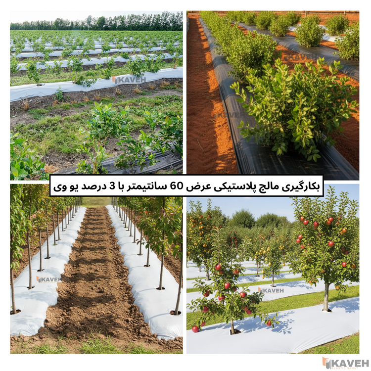 مالچ پلاستیکی باغبانی عرض 60 سانتیمتر و ضخامت 100 میکرون با 3 درصد یووی