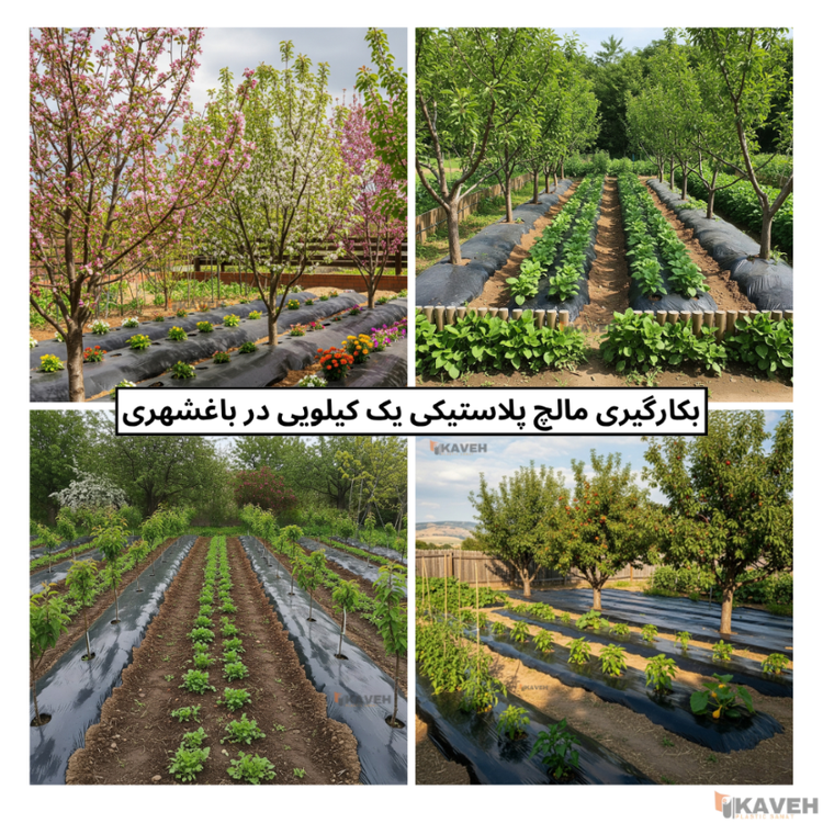 مالچ پلاستیکی کیلویی