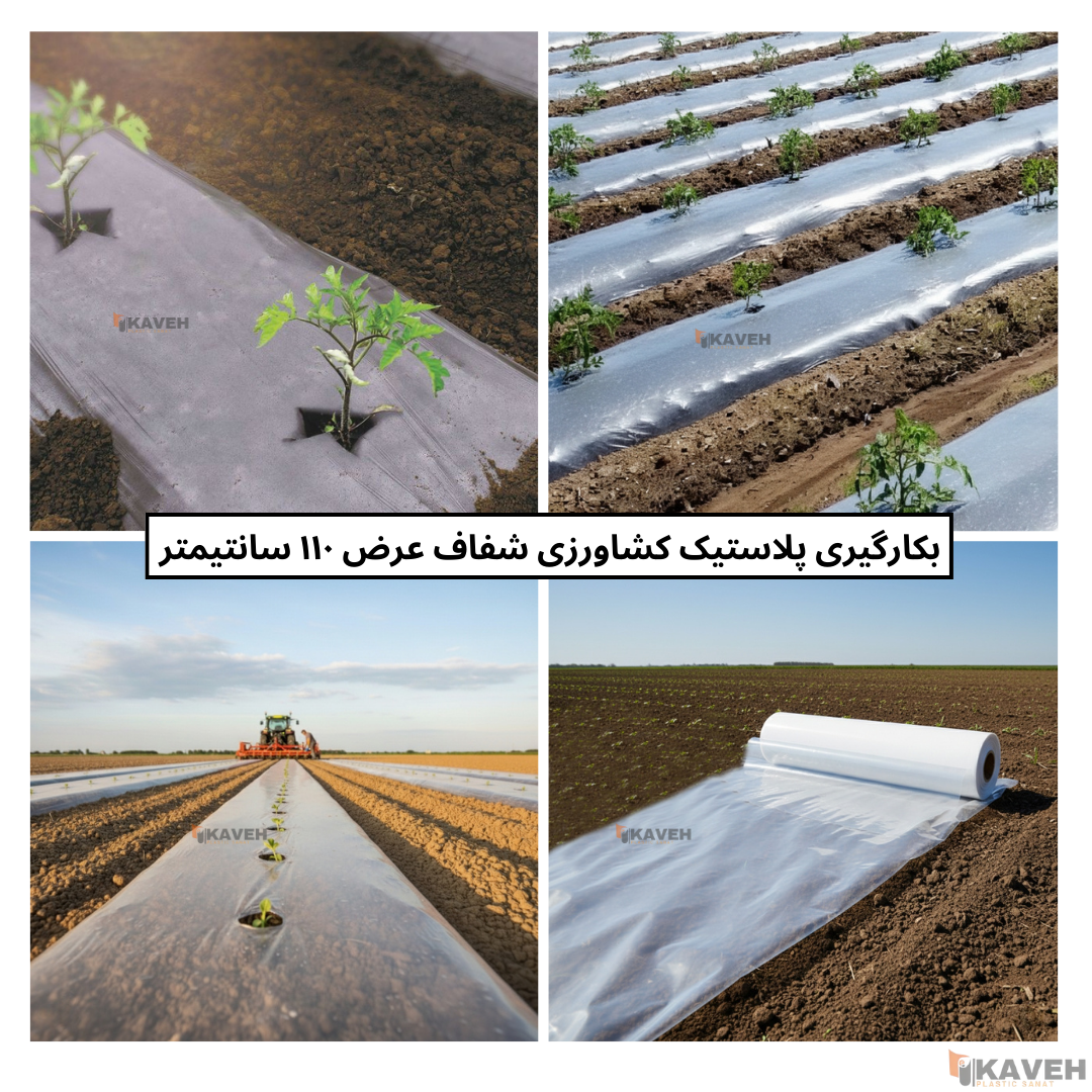 نایلون کشاورزی شفاف با ضخامت 11 و 12 میکرون و عرض ۱۱۰ سانتیمتر