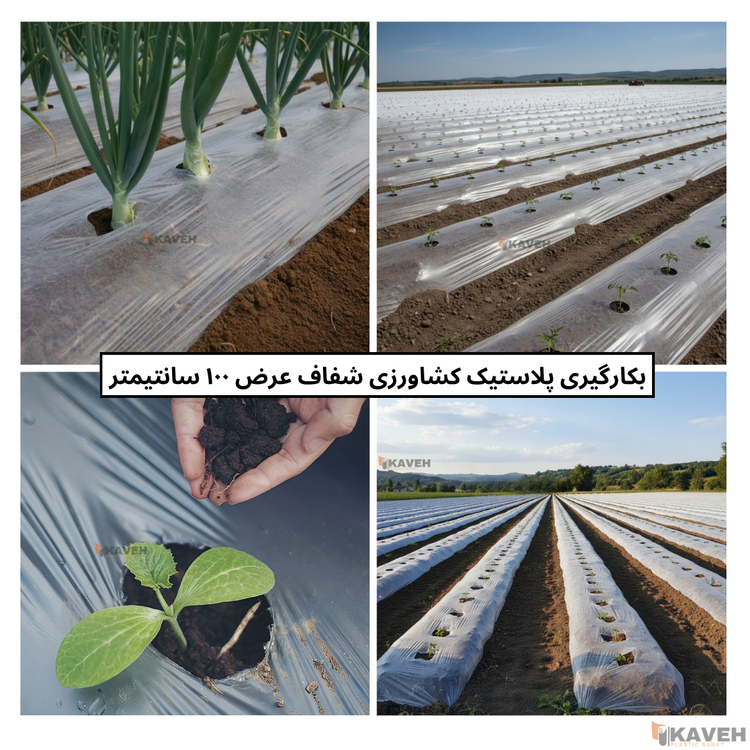 نایلون کشاورزی شفاف با ضخامت 11 و 12 میکرون و عرض ۱۰۰ سانتیمتر