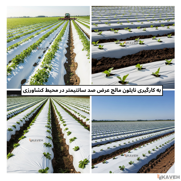 مالچ پلاستیکی کشاورزی عرض 100 سانتیمتر و ضخامت 30 میکرون با 3 درصد یووی