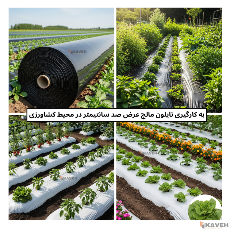 مالچ پلاستیکی کشاورزی عرض 100 سانتیمتر و ضخامت 30 میکرون با 3 درصد یووی